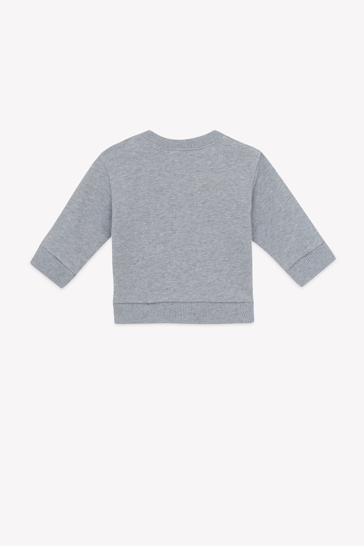 Sudadera - Smily Skatebird gris