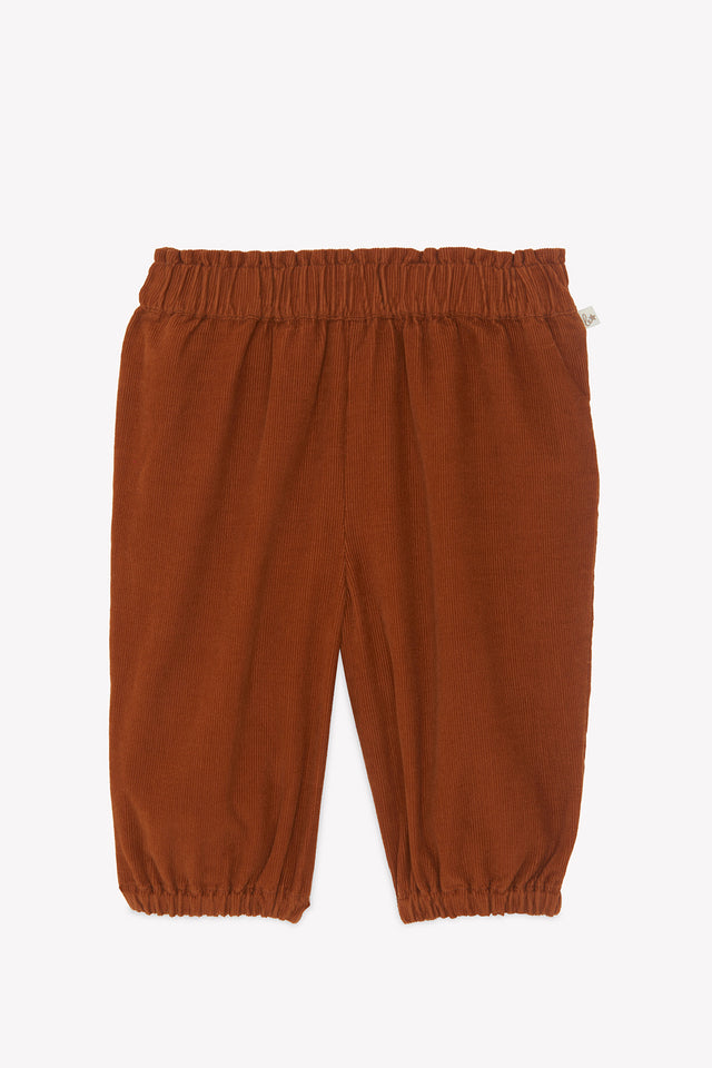 Broek - Miscotte notenkraker - Image principale