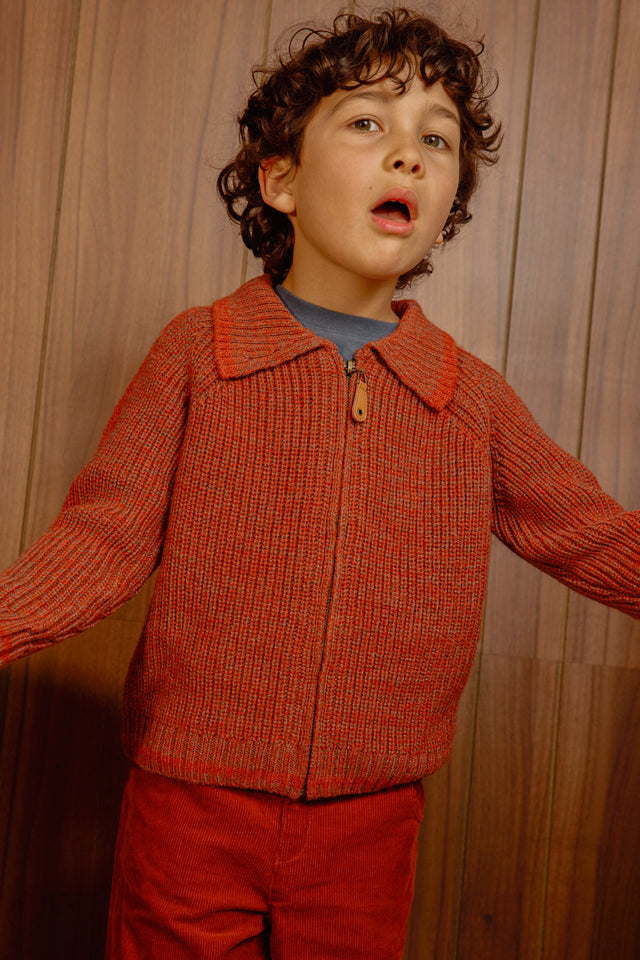 Cardigan - Pimpon Chestnut Laine - Image principale