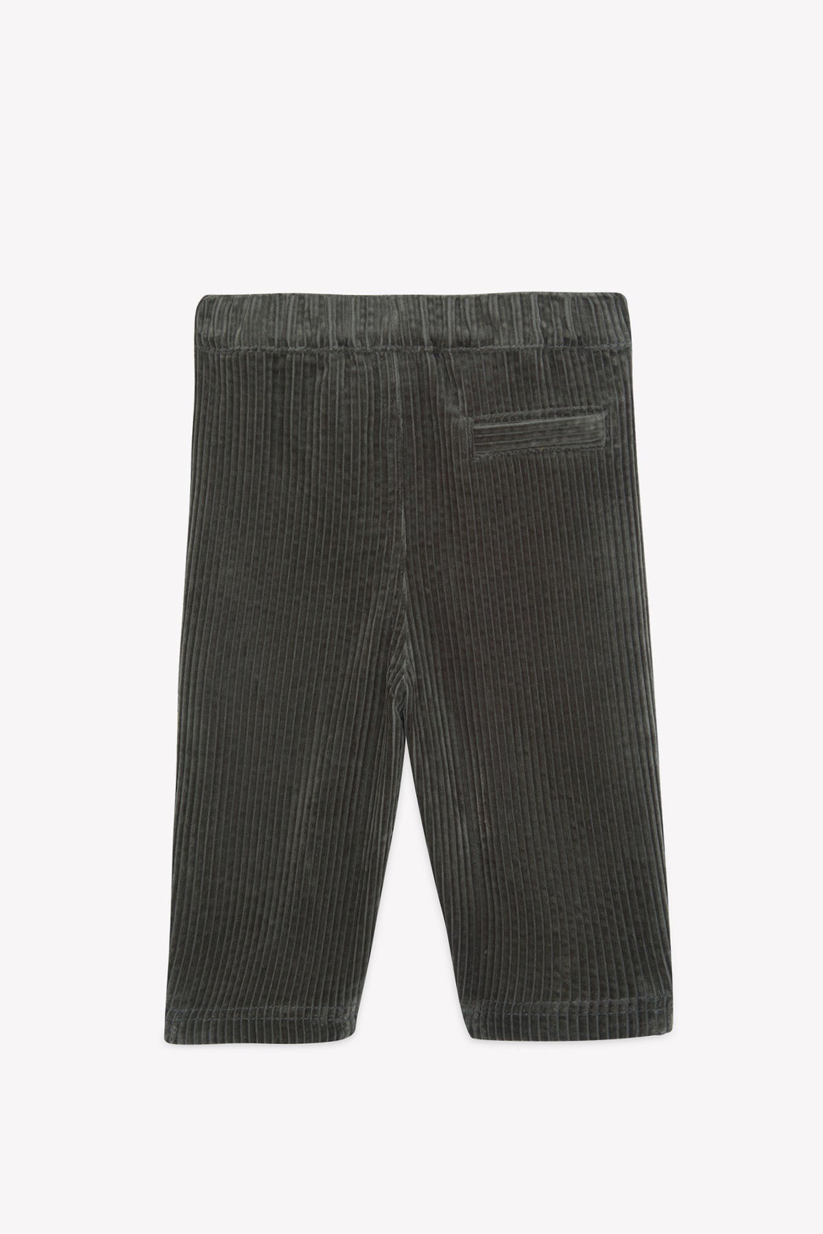 Pantalón - Paco caqui de terciopelo