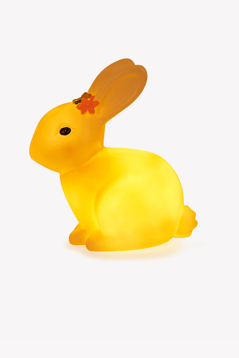 Veilleuse - lapin couronné - Image principale