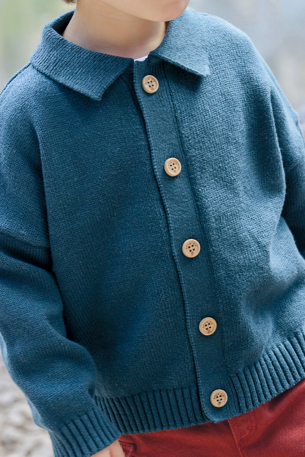 Cardigan - Lucien Seeblau