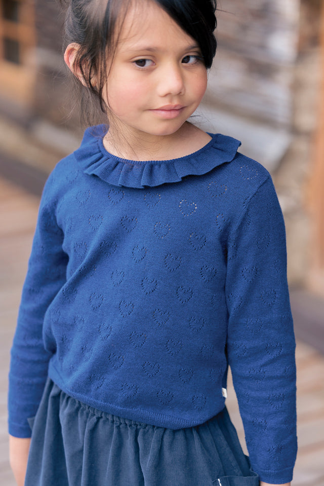 Pull - Milou Bleu Brut - Image principale