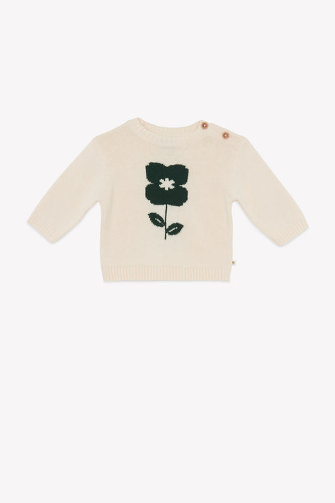 Pull - Misty Flower Mouton - Image principale