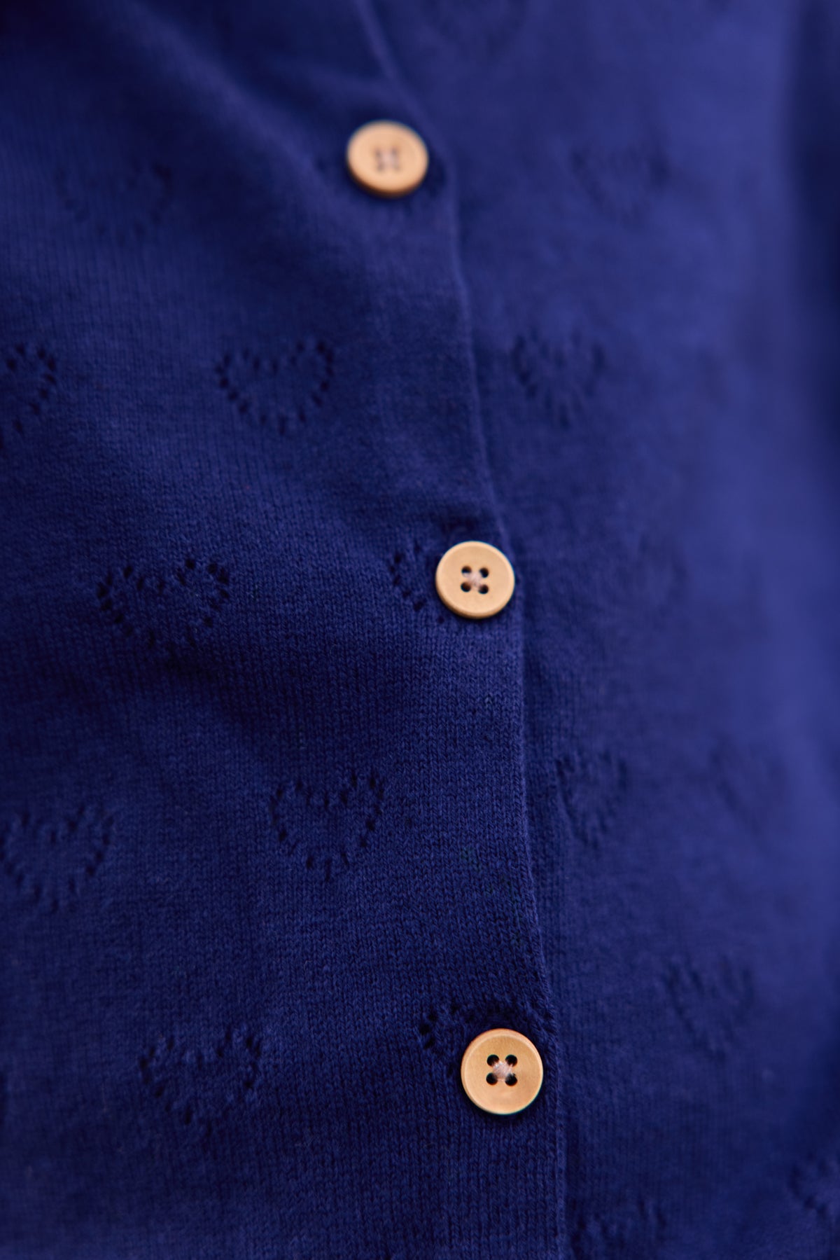 Cardigan - Lilou Blue Coton Cachemire