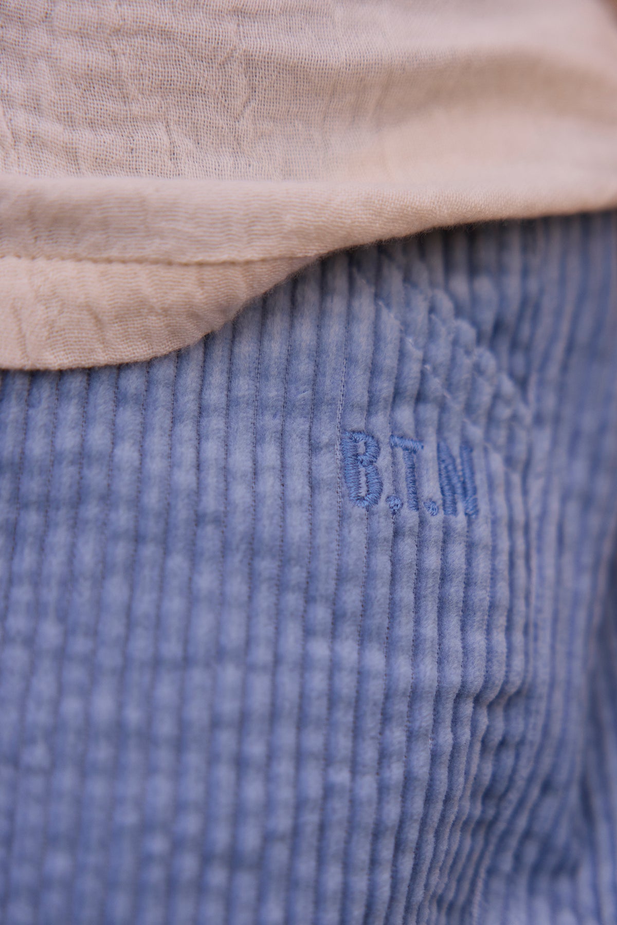 Trousers - Paco blue velvet