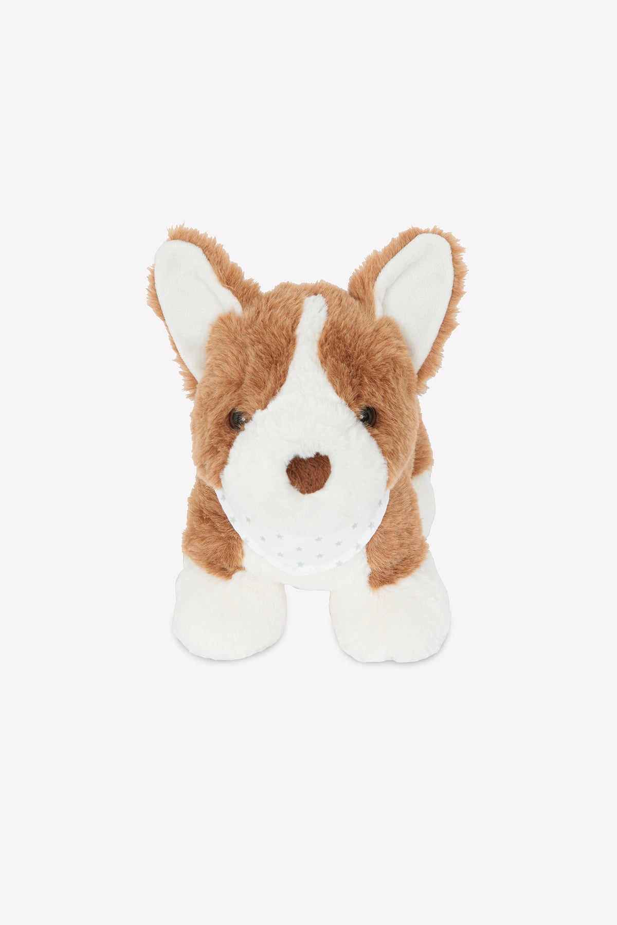 Bamse - Corgien Bernie